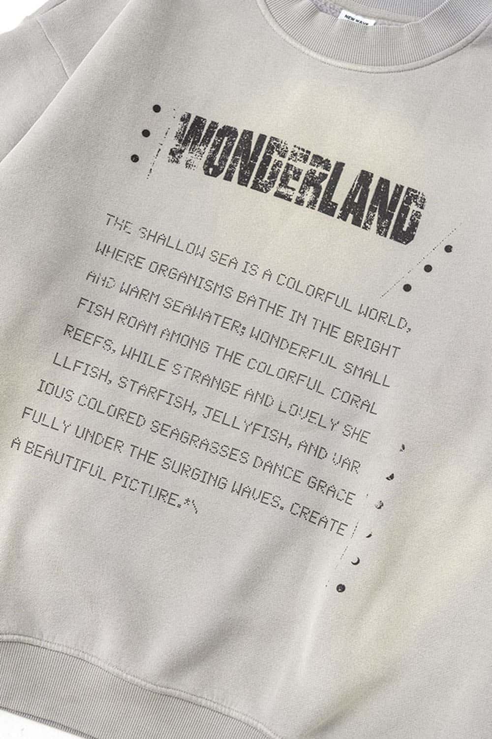 Distressed Vintage Letter Pullover Sweatshirt with Fleece Lining