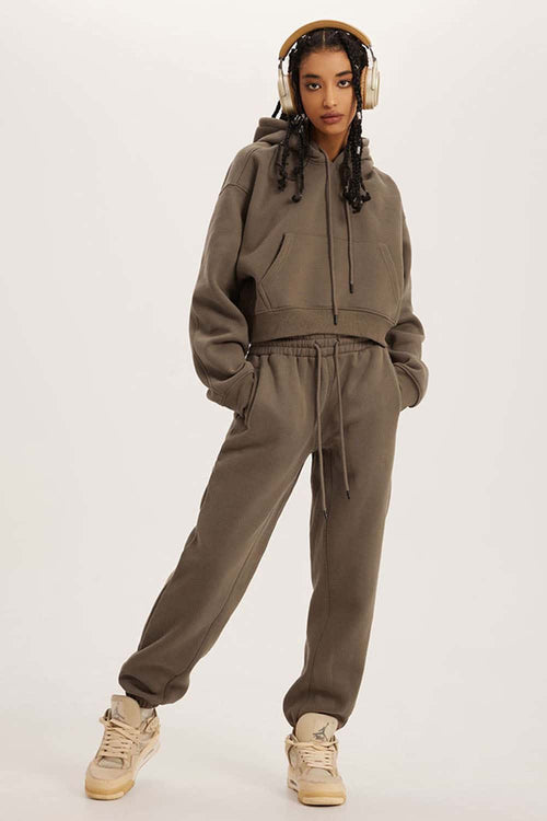 Vintage Washed Cropped Fleece Hoodie - Brown
