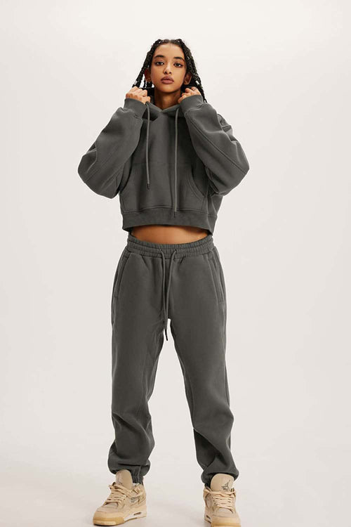 Vintage Washed Cropped Fleece Hoodie - Gray Brown
