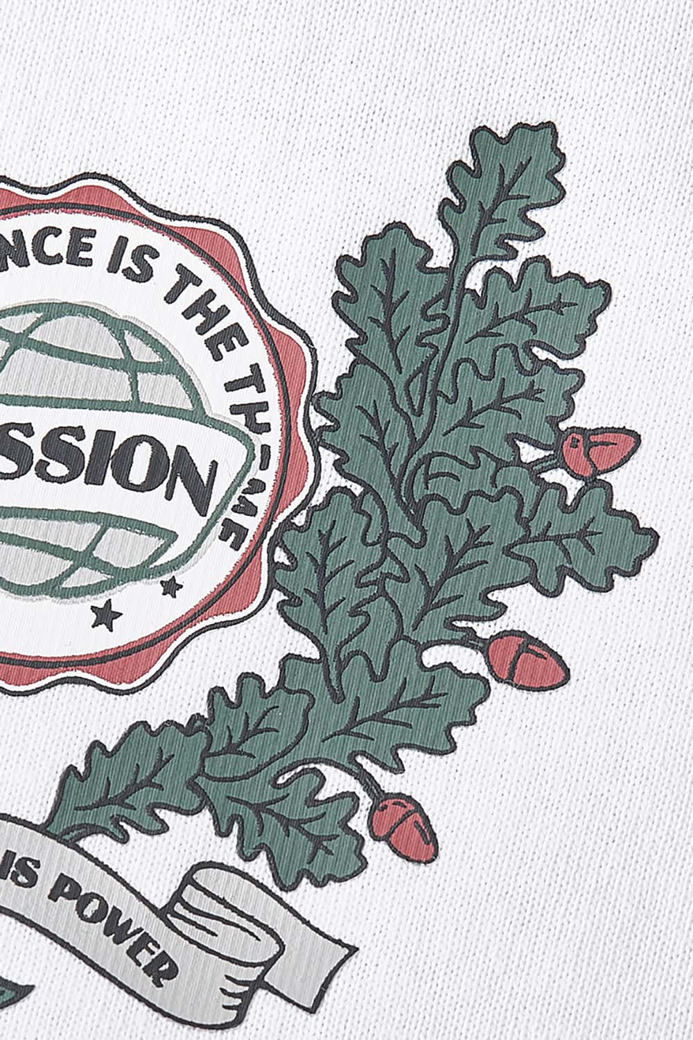 "Passion" Print Casual Streetwear Loose-Fit Short Sleeve T-Shirt