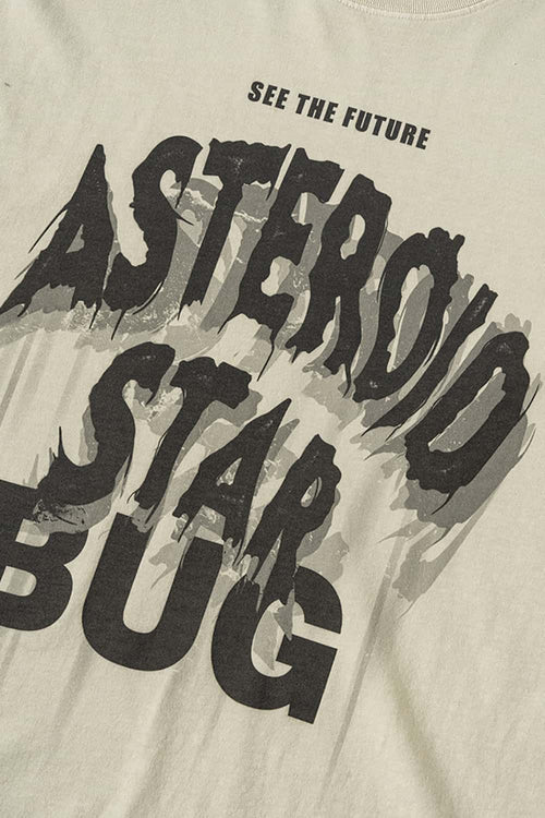Distressed Washed Graphic Tee - Gray Apricot