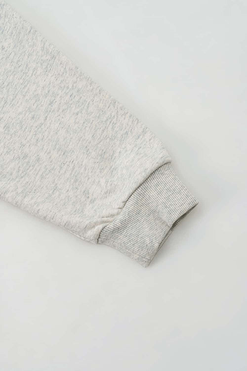 Premium Graphic Fleece Hoodie - Oat Gray
