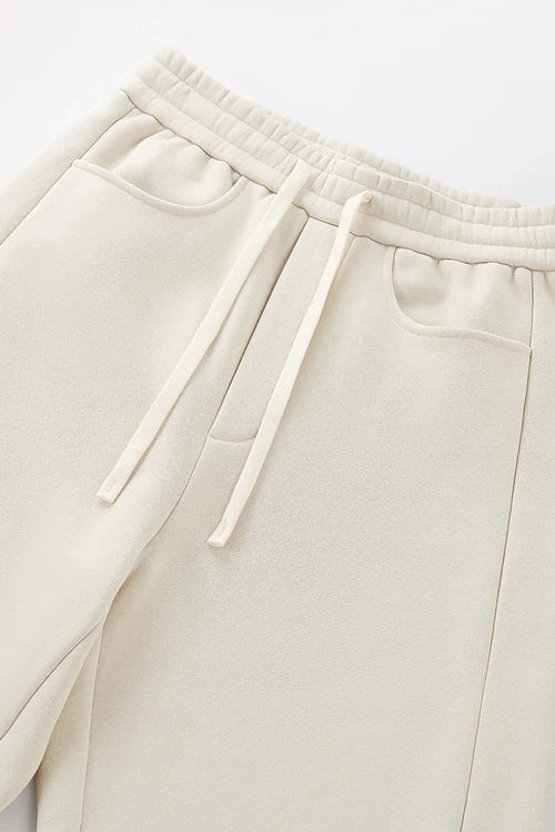 Premium Fleece Pleated Curved Sweatpants - Beige Gray